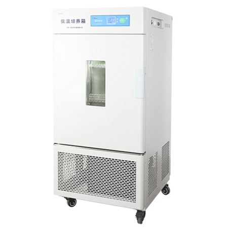 上海一恒LRH-500CA低溫培養(yǎng)箱